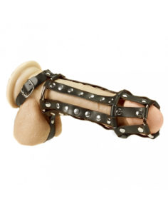 Penis- ja Terskaharness
