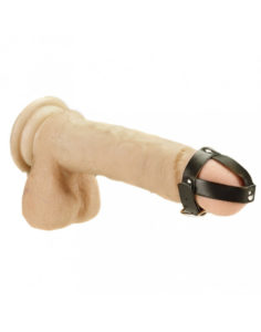Terskaharness, Nahkaa