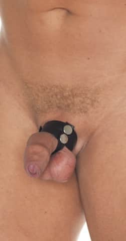Penis-Scrotum Tube with Strap R7413-12627