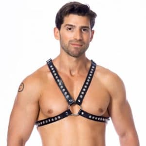 Harness R7362