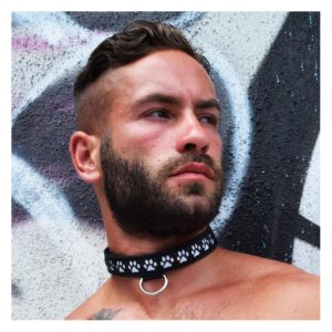 Breedwell - GLOW Pup Collar