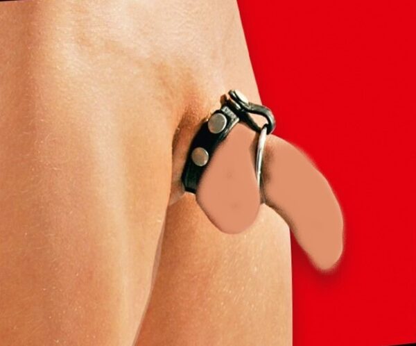 Bad Kitty - Penis/Kivesrengas OR510807
