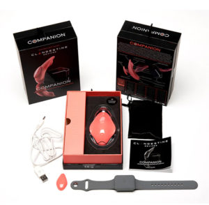 Companion - Wearable Remote Controlled Vibrator