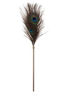 TABOOM - Höyhenkutitin, Peacock