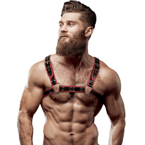 Fetish Submissive - Rintaharness
