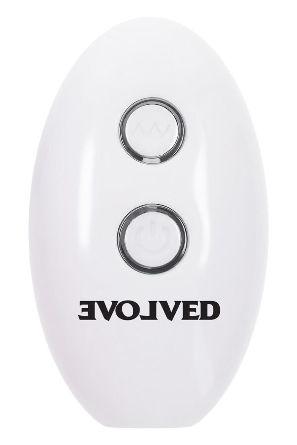 Evolved - Paradise Anaalitappi & Kaukosäädin - Image 7