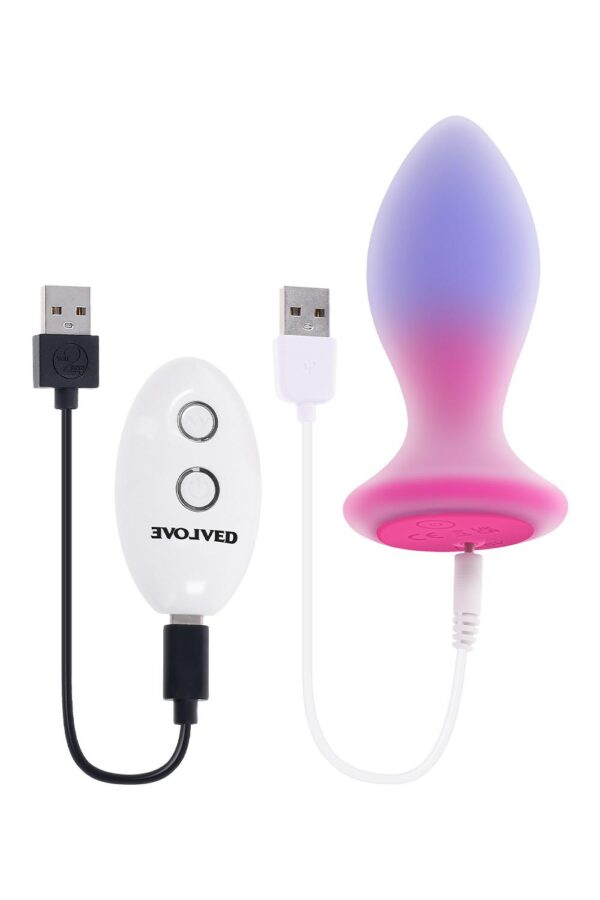 Evolved - Paradise Anaalitappi & Kaukosäädin - Image 8