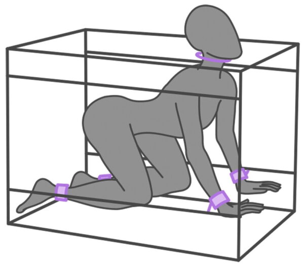 Secret Dome - Kink Club La Niche, Lila - Image 2