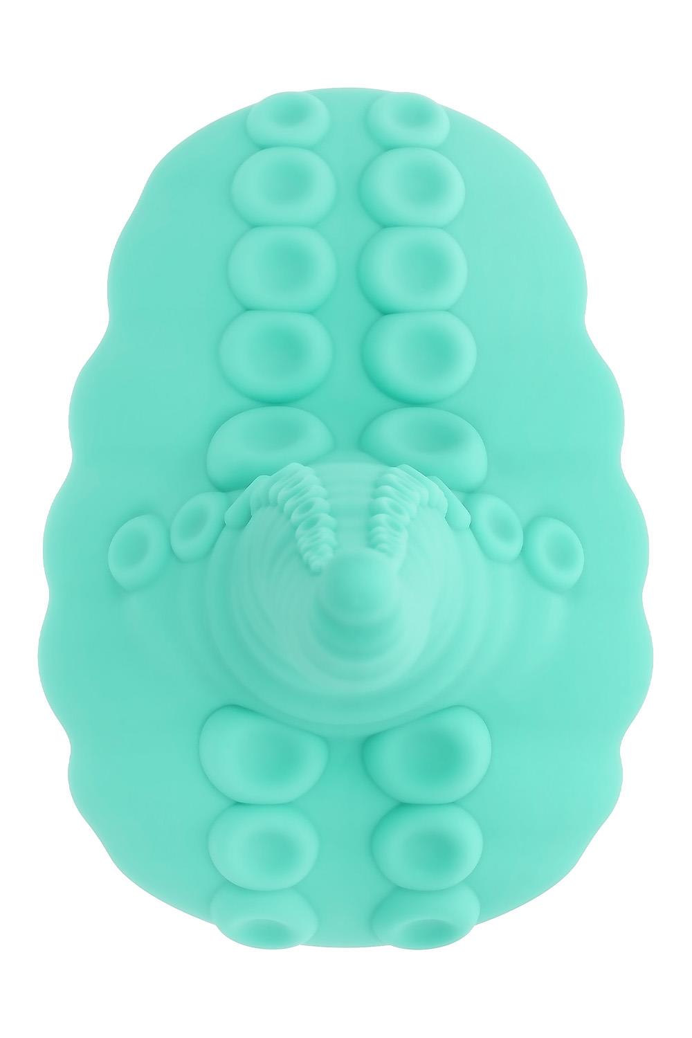 Evolved - Tentacle Grinder & Kauko-ohjain - Image 5