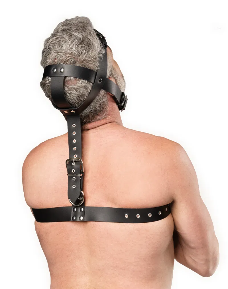 Pääharness, Nahkaa - Image 3